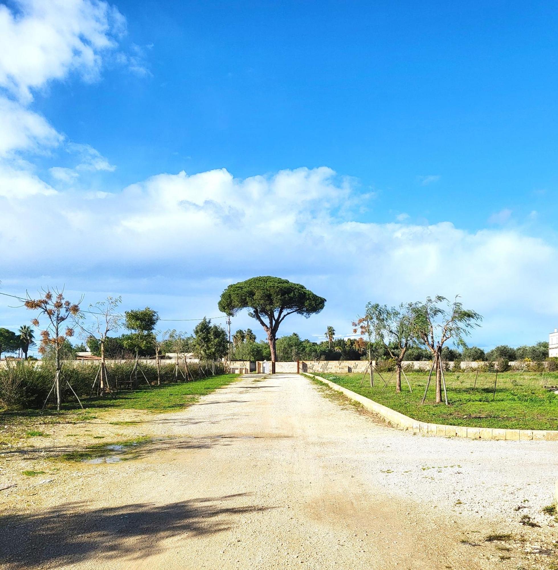Casina Fontana Bed & Breakfast Lecce Eksteriør billede